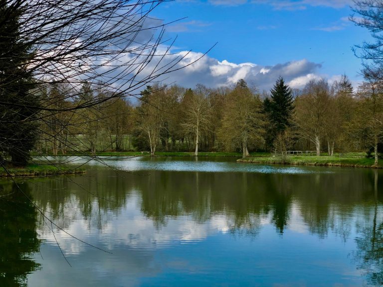 Étang du parcours de pêche, arbres et ciel reflétés dans l'eau calme