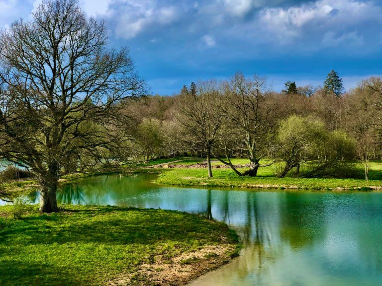 Plan d'eau serpentant entre pelouse et boisement au printemps