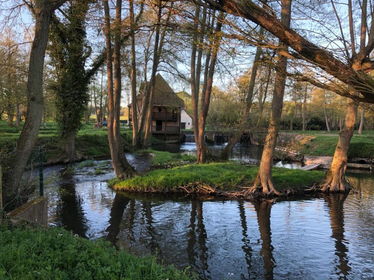 Bras de rivière et île arborée, bâtiment du domaine en arrière-plan