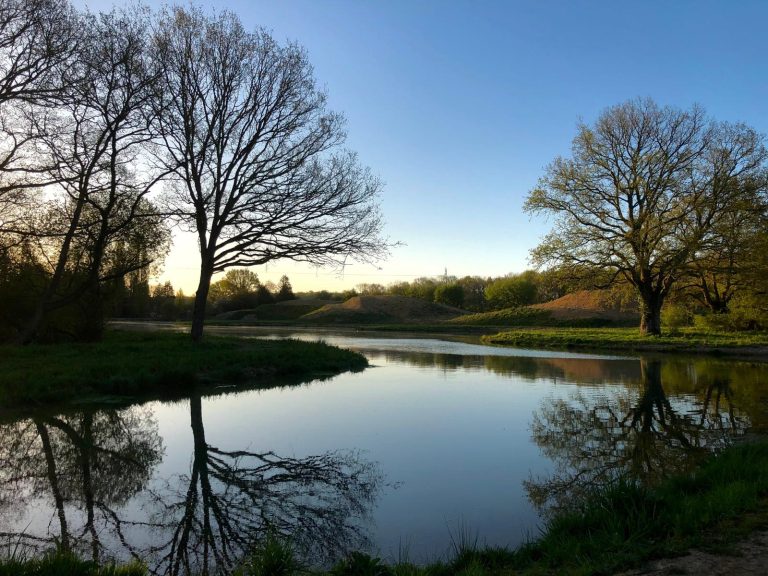 Vaste étang sous un ciel bleu, arbres nus reflétés dans l'eau