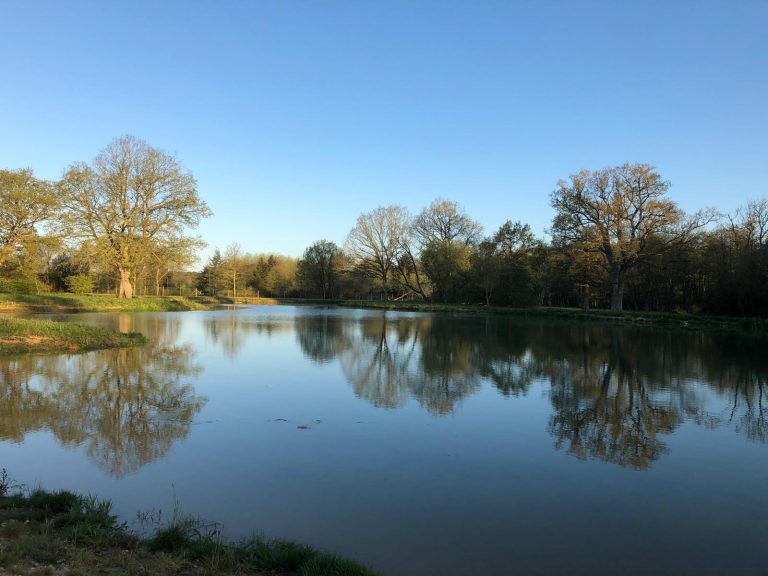 Grand plan d'eau du domaine, îlots et reflets d'arbres