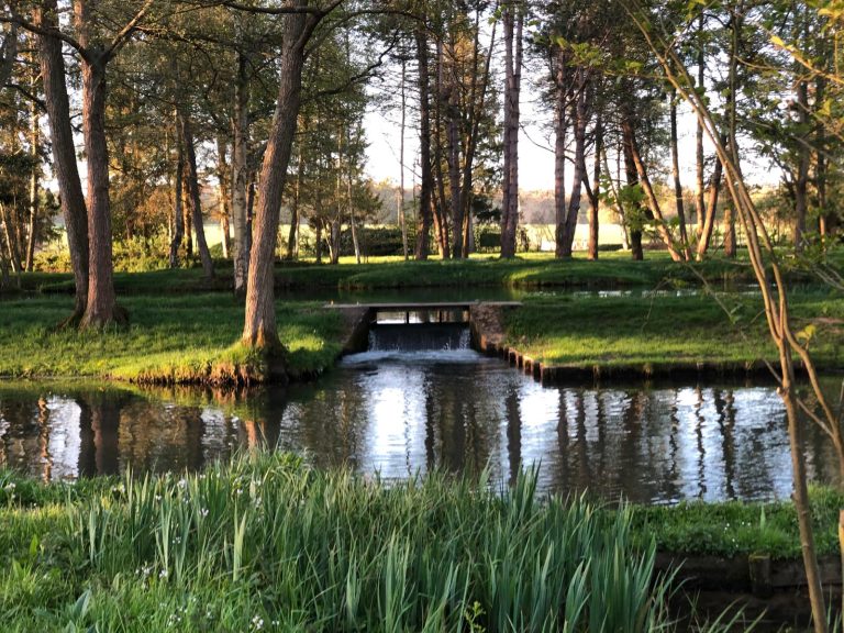 Petit pont de bois enjambant le cours d'eau, entre roseaux et sous-bois