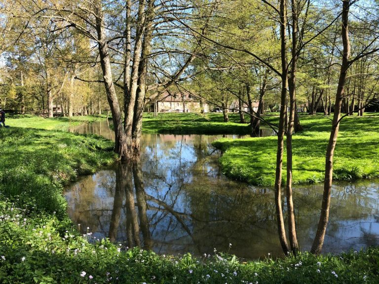 Ruisseau serpentant dans la pelouse du parc