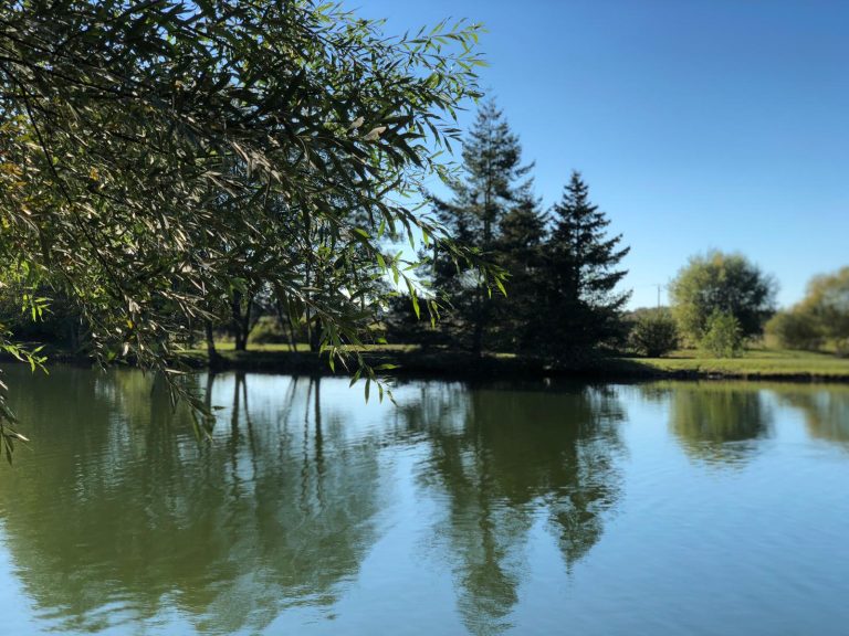 Plan d'eau et rive boisée du parcours