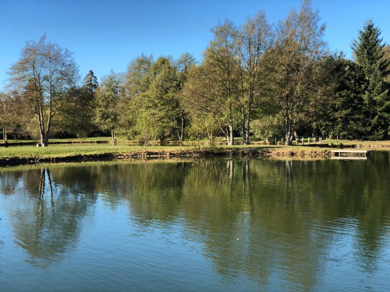 Étang du parcours, arbres reflétés dans l'eau
