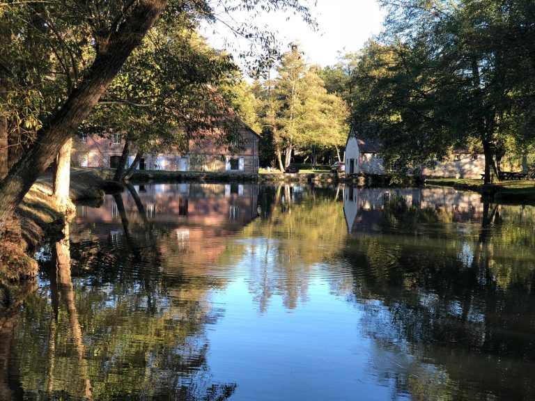 Étang du domaine bordé d'arbres en plein feuillage, bâtiments du moulin reflétés sur la rive opposée
