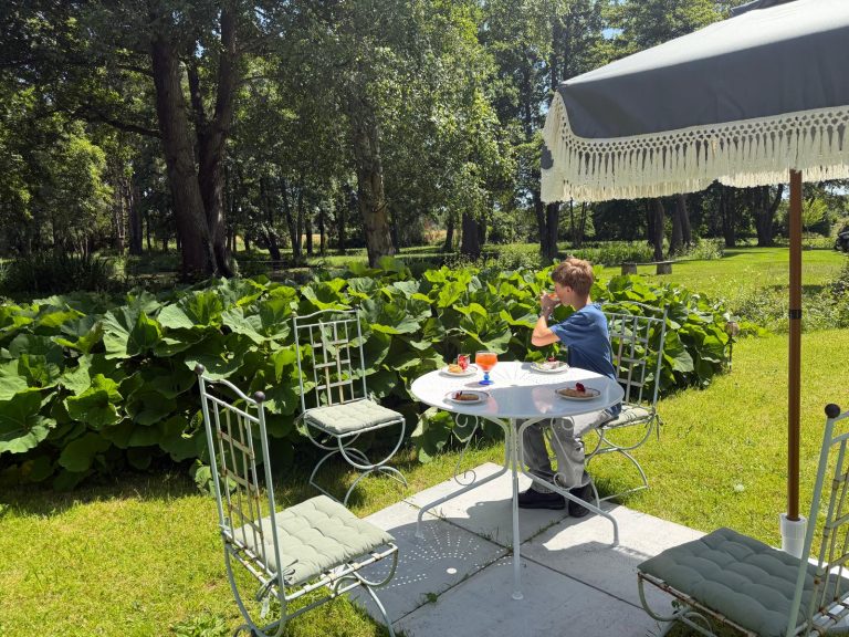 Coin salon de jardin ombragé près du potager