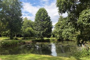 Étang et parc boisé du domaine