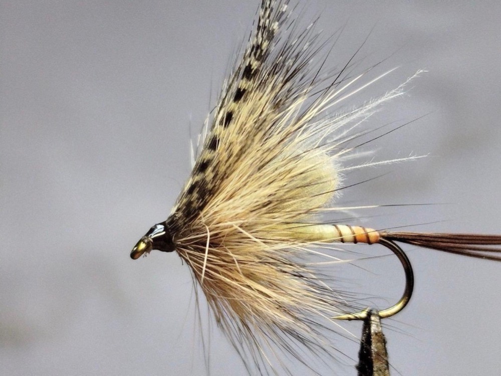 Mouche sèche